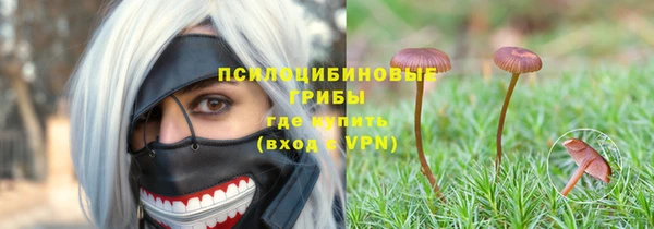 а пвп мука Алзамай