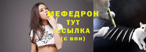 индика Алексеевка