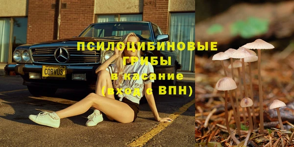 а пвп мука Алзамай