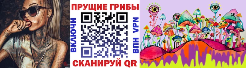 Купить закладки  Коммунар  Галлюциногенные грибы MAGIC MUSHROOMS 